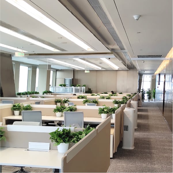 application-Office lighting